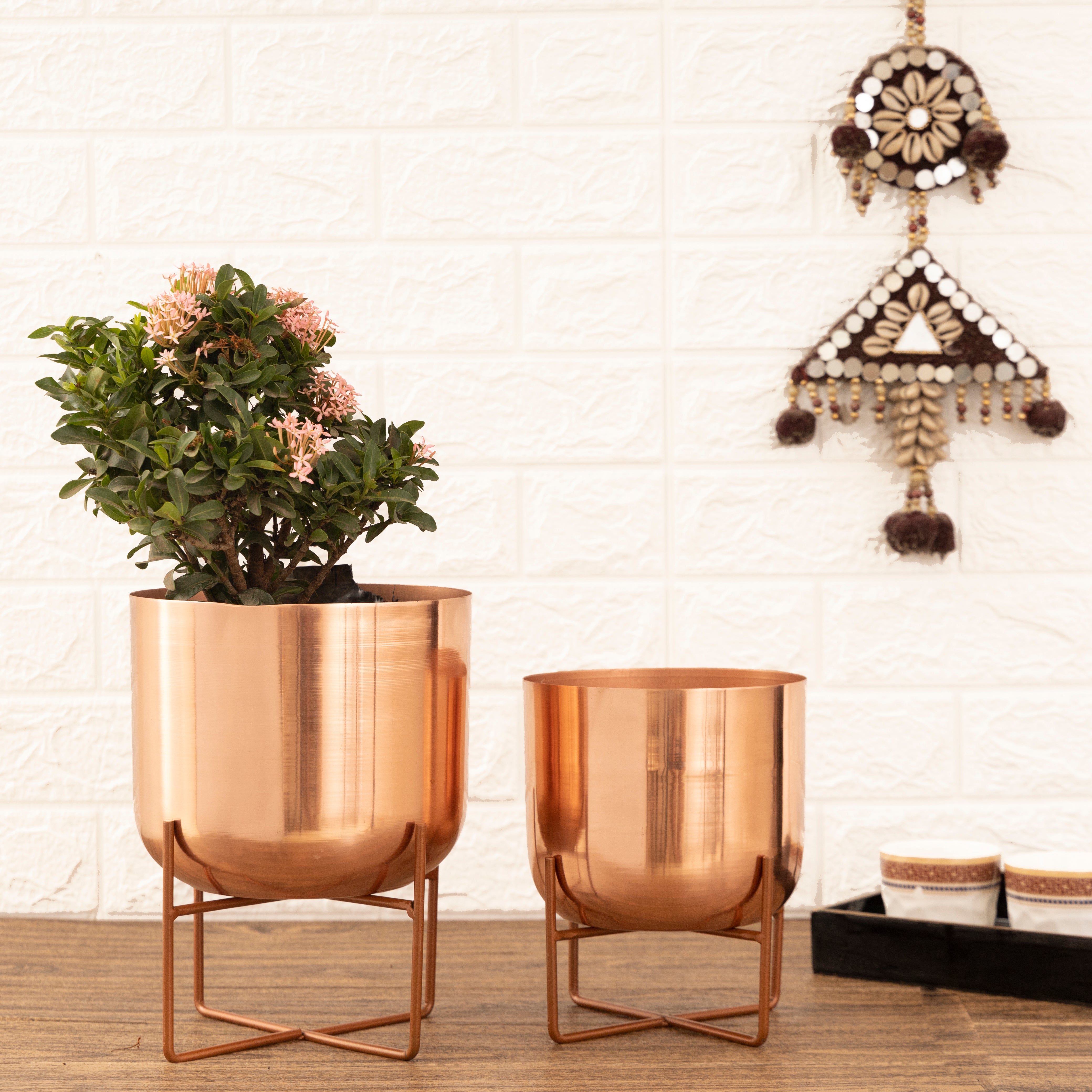 Olive Rose Gold Planters (Pack of 2)